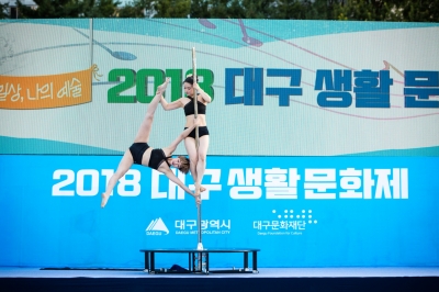 2018 대구생활문화제