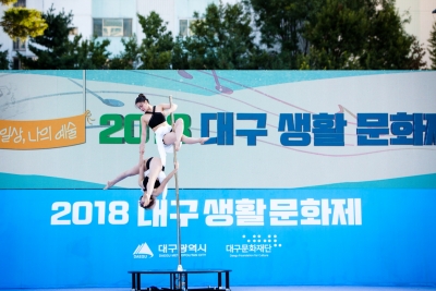 2018 대구생활문화제