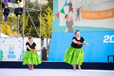 2018 대구생활문화제