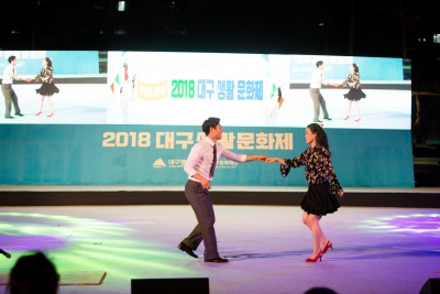 2018 대구생활문화제