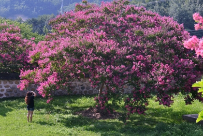 빛과나의이야기