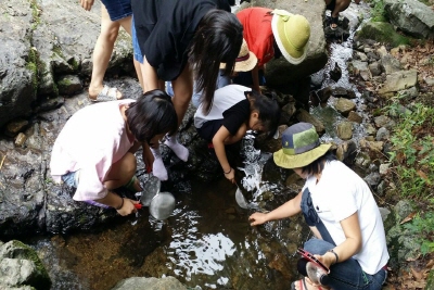 숲에서 노는 아이들